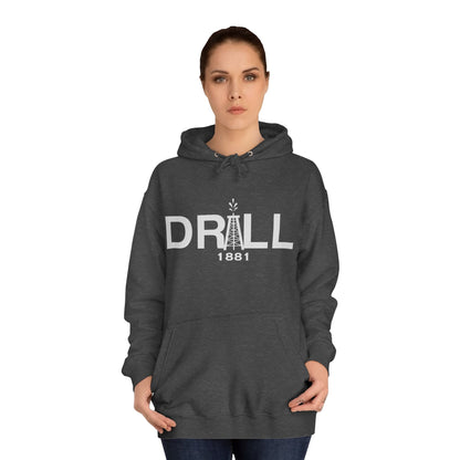 Texas Seal - Premium Hoodie