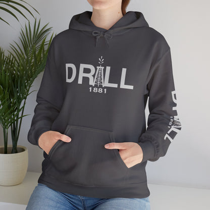 Old Glory - Odessa - Heavy Blend™ Hooded Sweatshirt